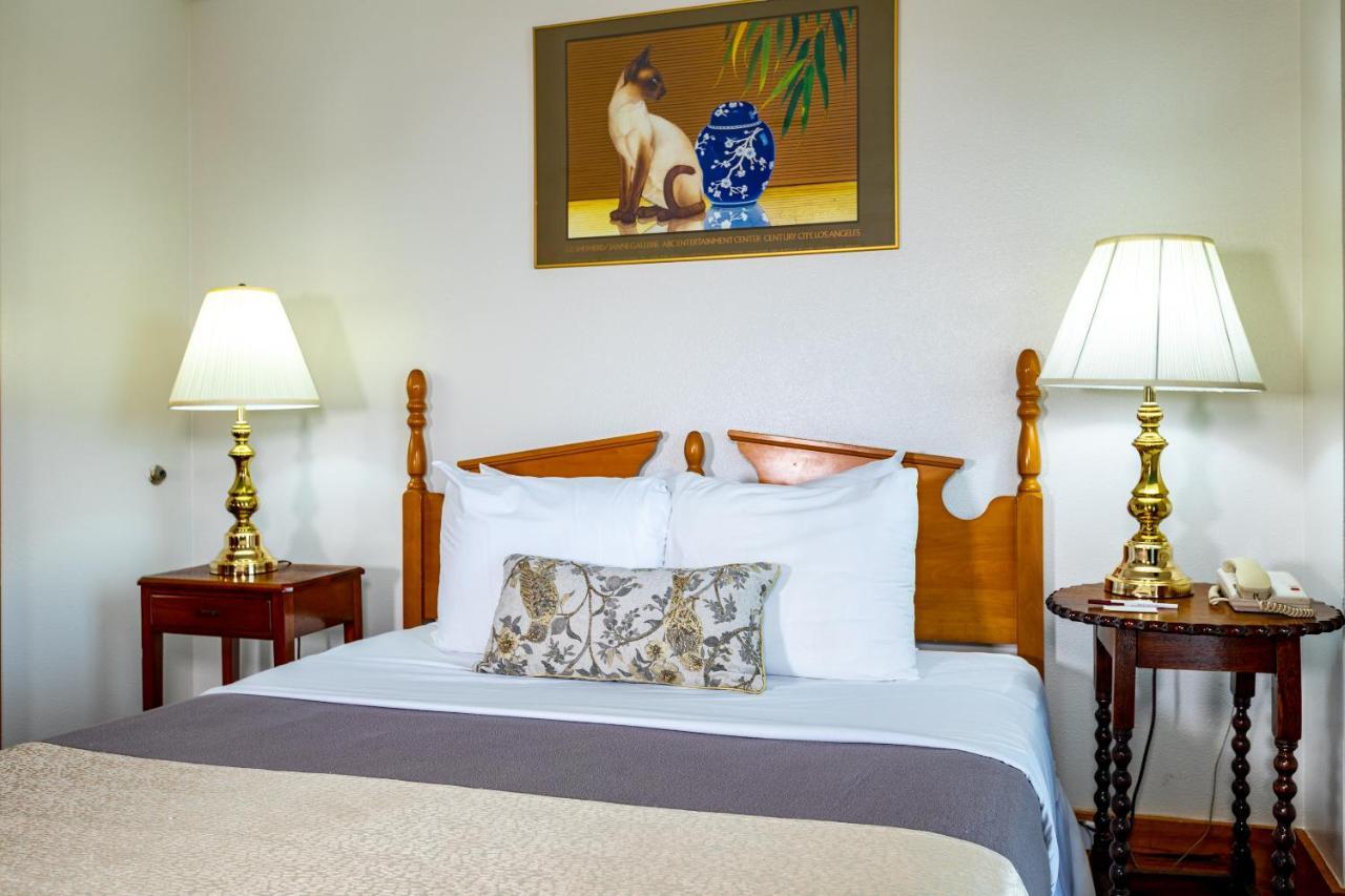 Standard Suite
