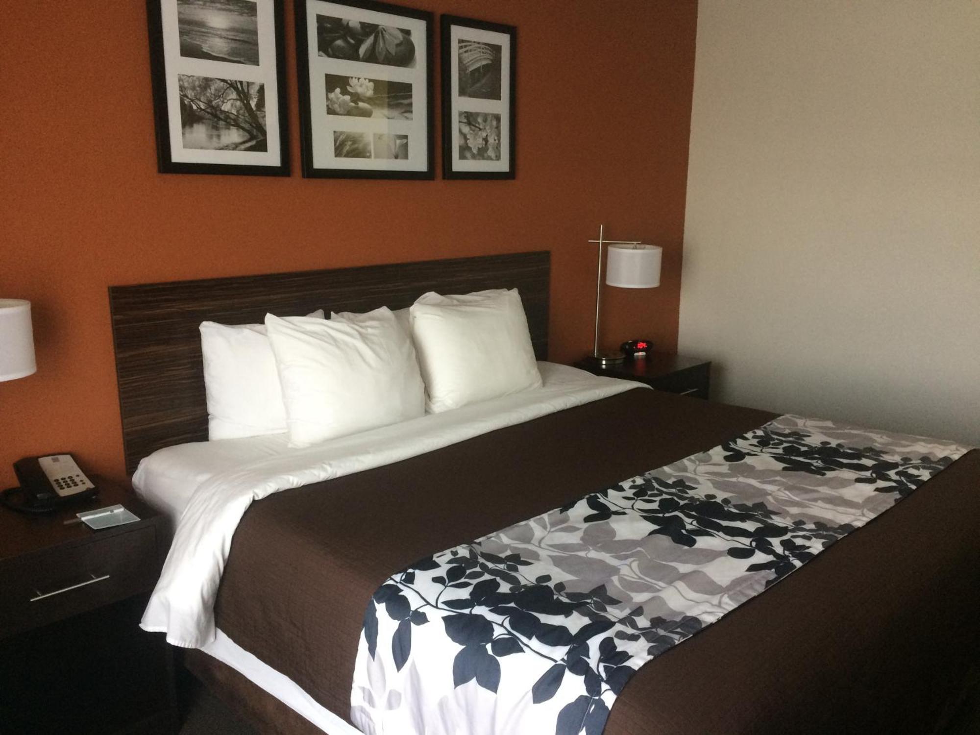 King Room - Accessible/Non-Smoking