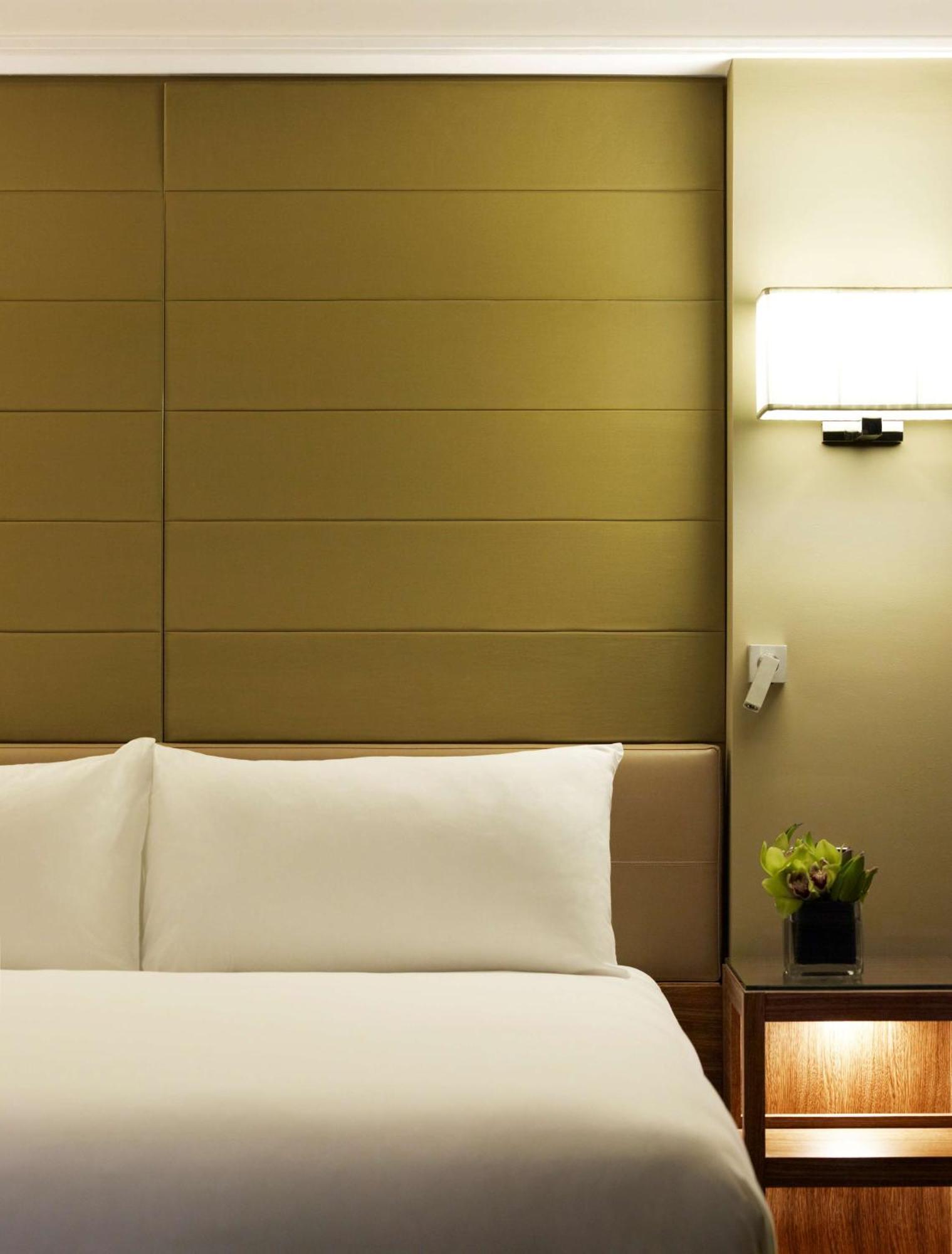 1 King Bed with City View