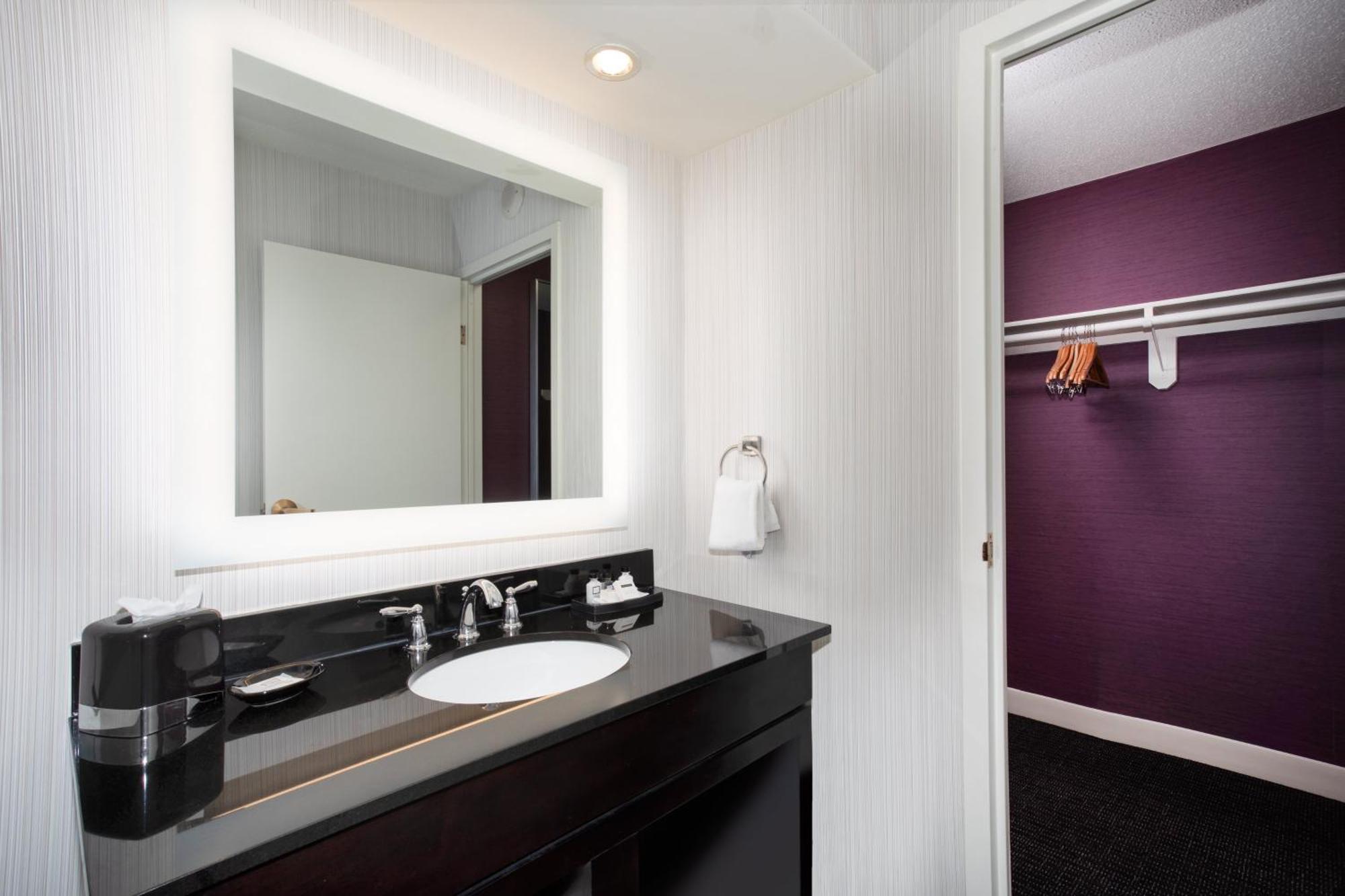 Suite - Mobility Access Roll in Shower/Non-Smoking
