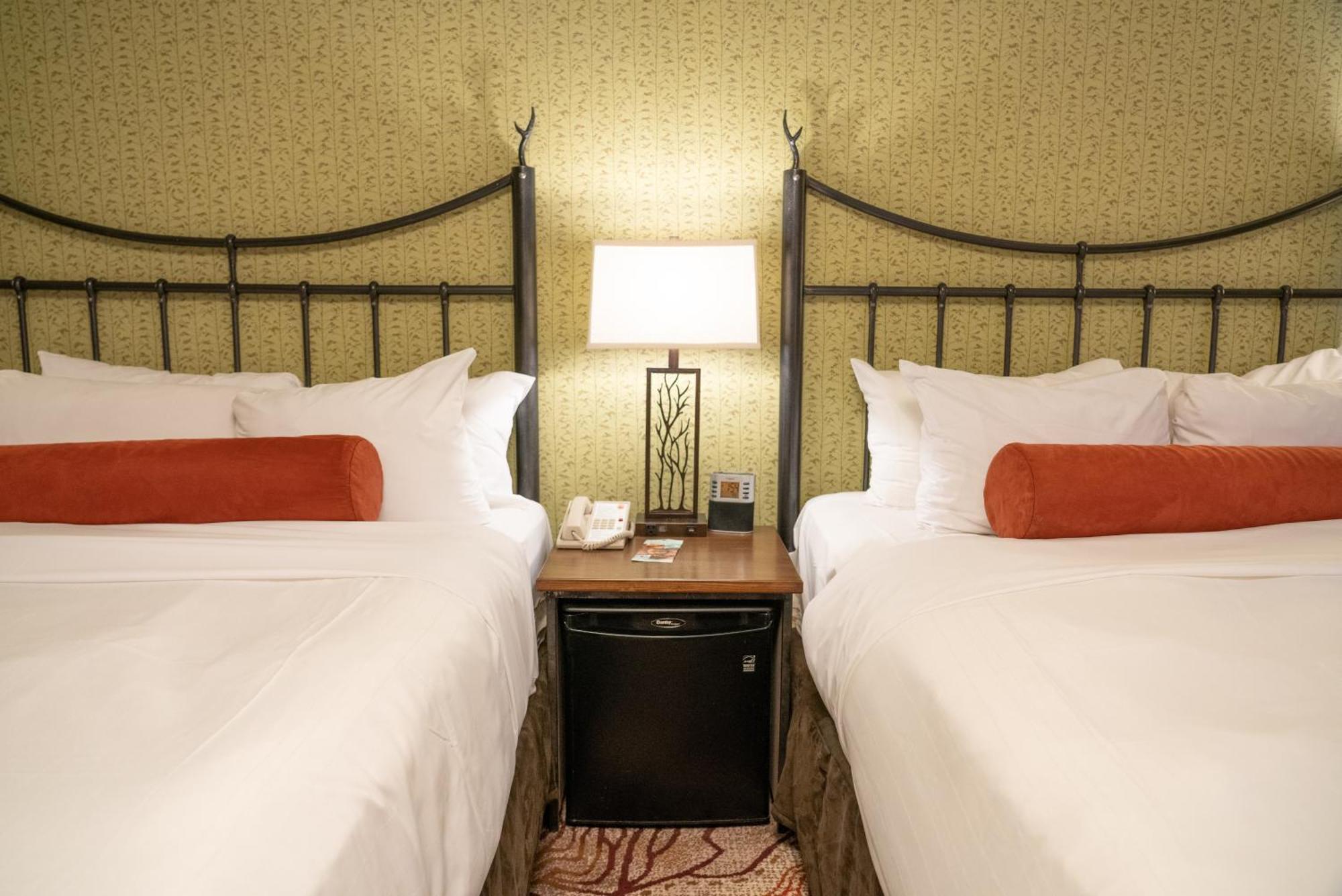 Standard Two Queen Room