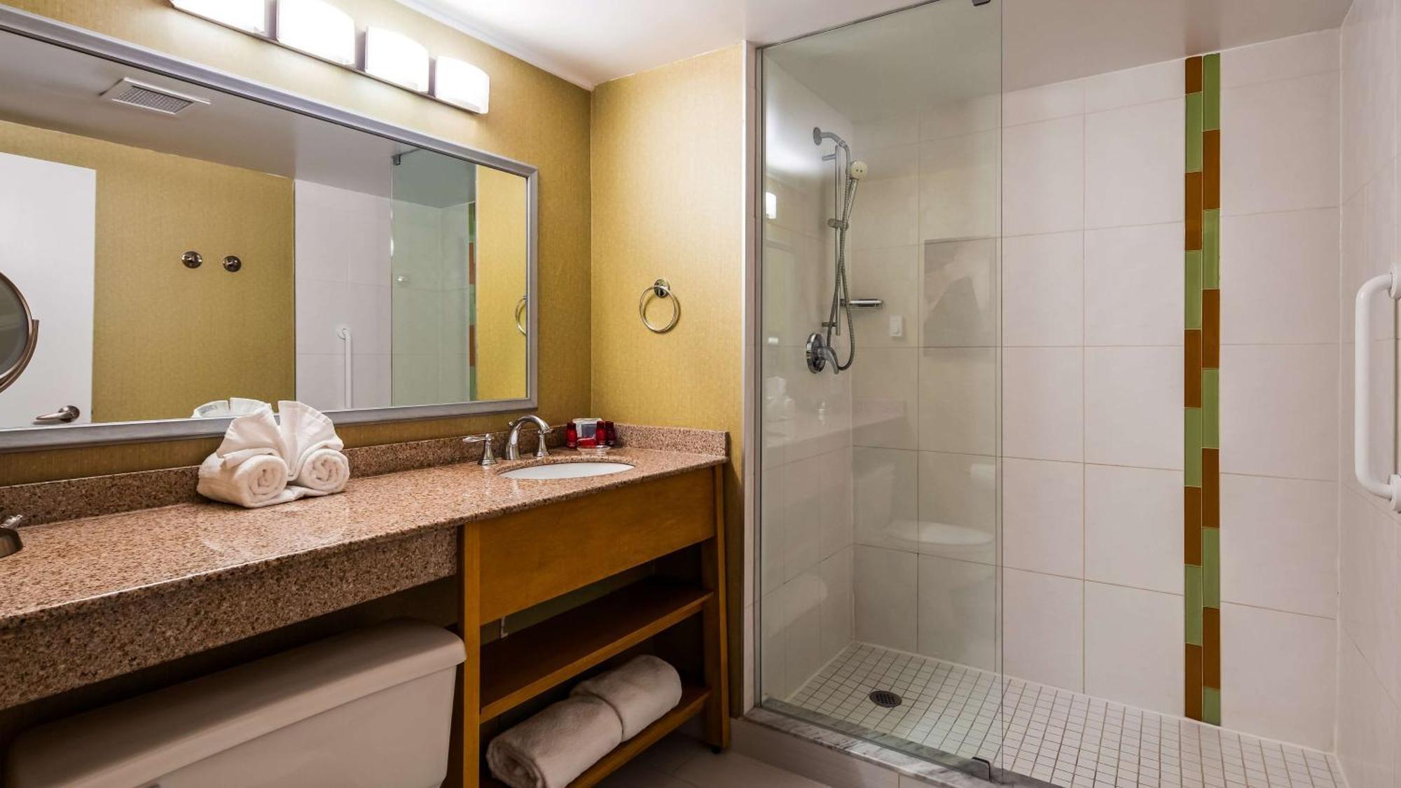 King Room - Non-Smoking/Shower Only