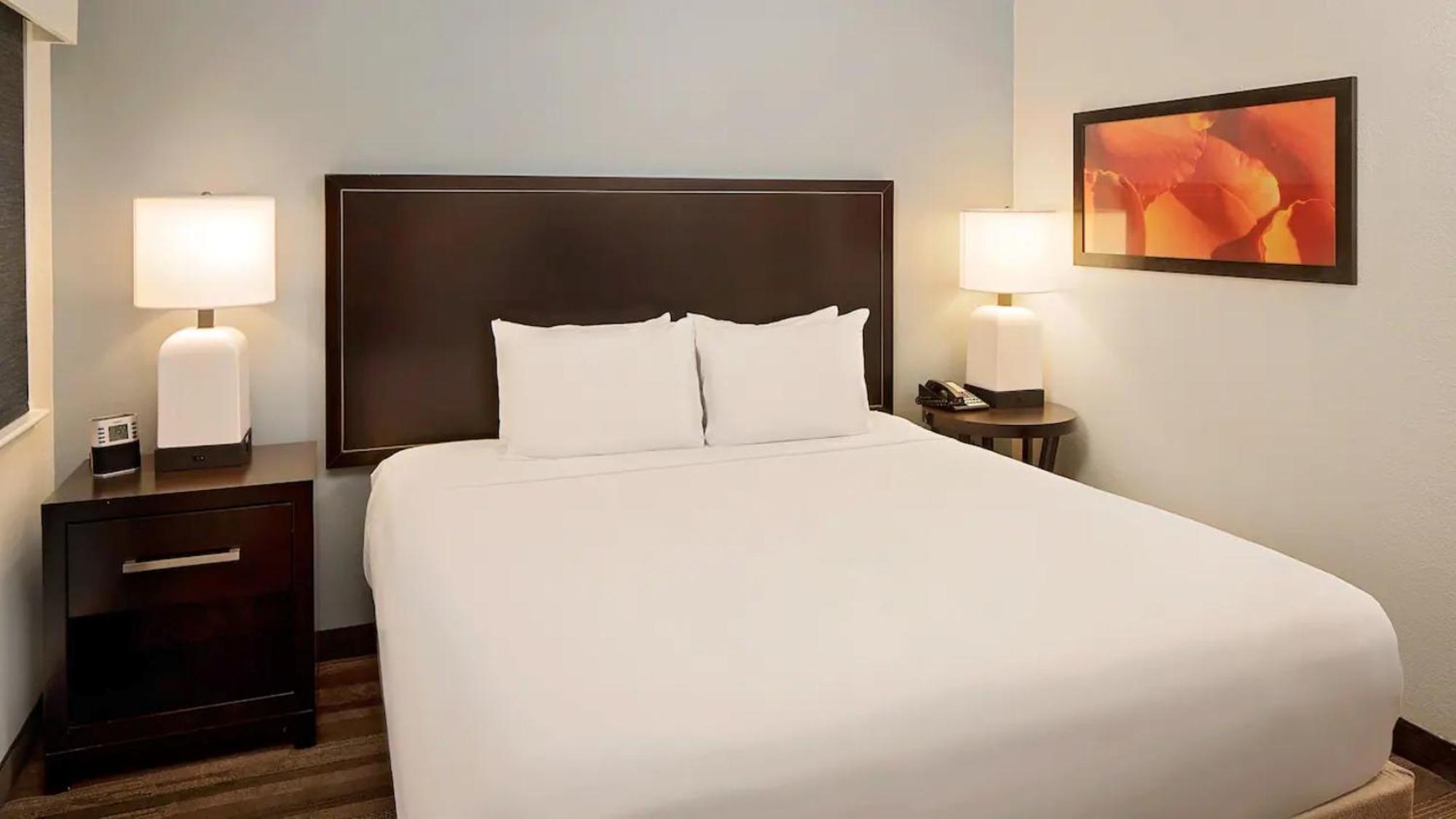 One-Bedroom King Suite