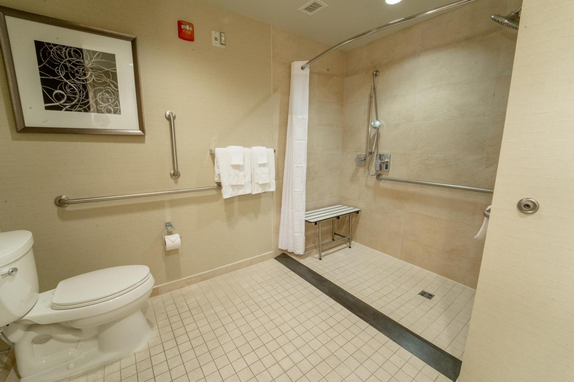 Standard King Accessible Room
