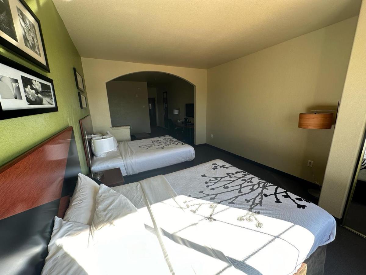 Queen Suite with Two Queen Beds and Sofa Bed