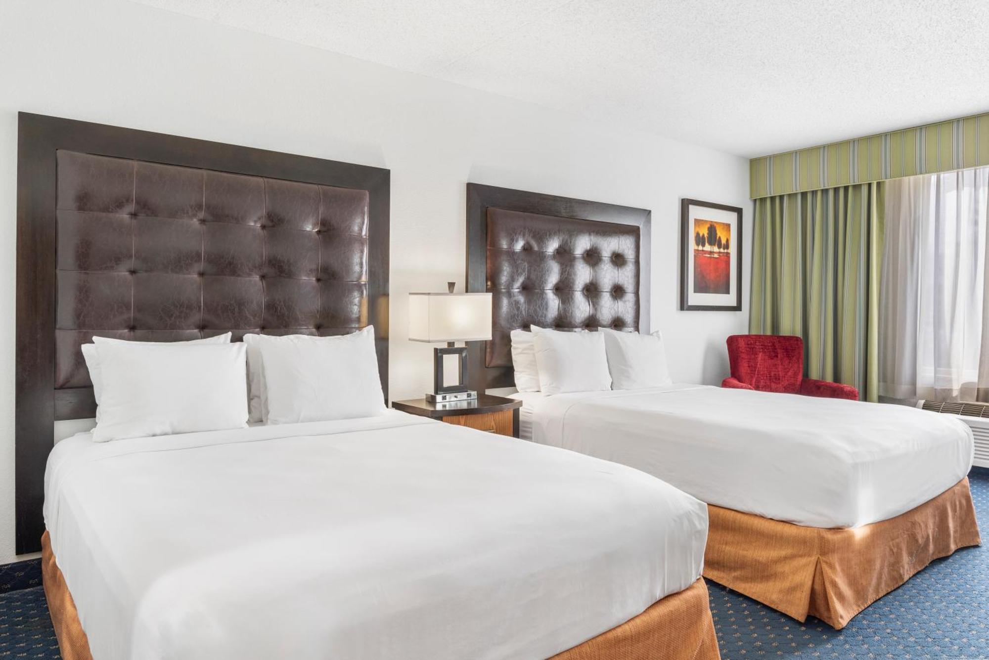 Superior Queen Room