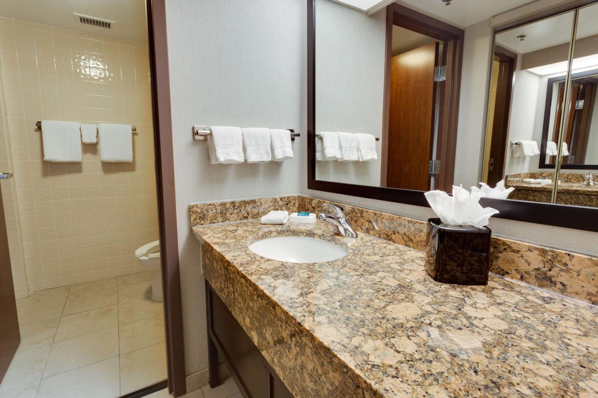 King Suite with Sofa Bed