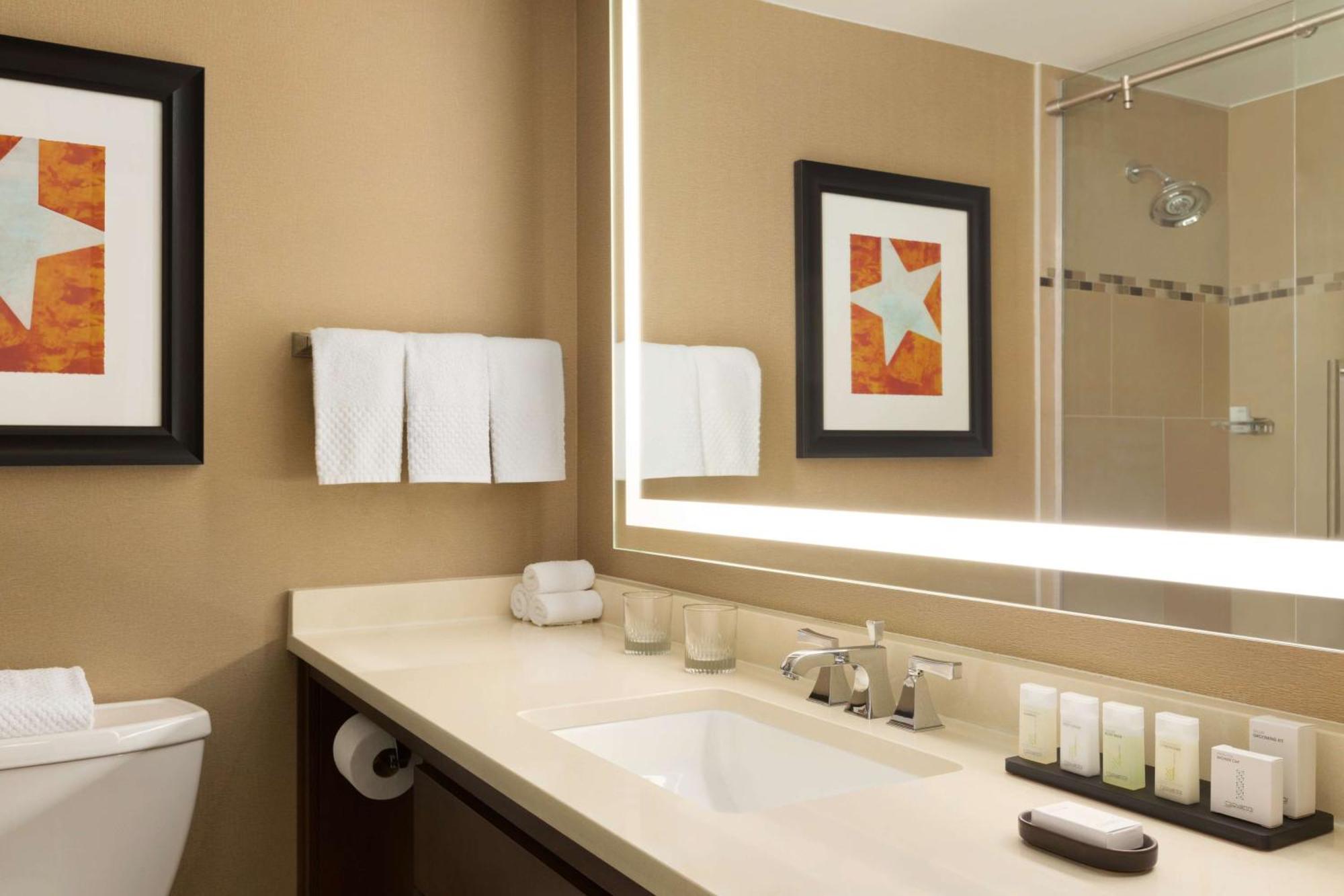 Premium King Suite - Non-Smoking