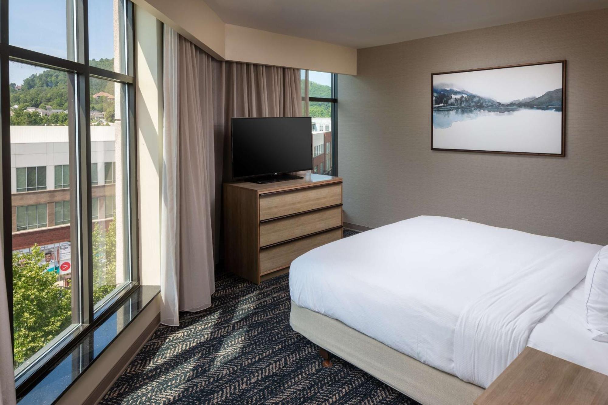 Junior King Suite with Sofa Bed