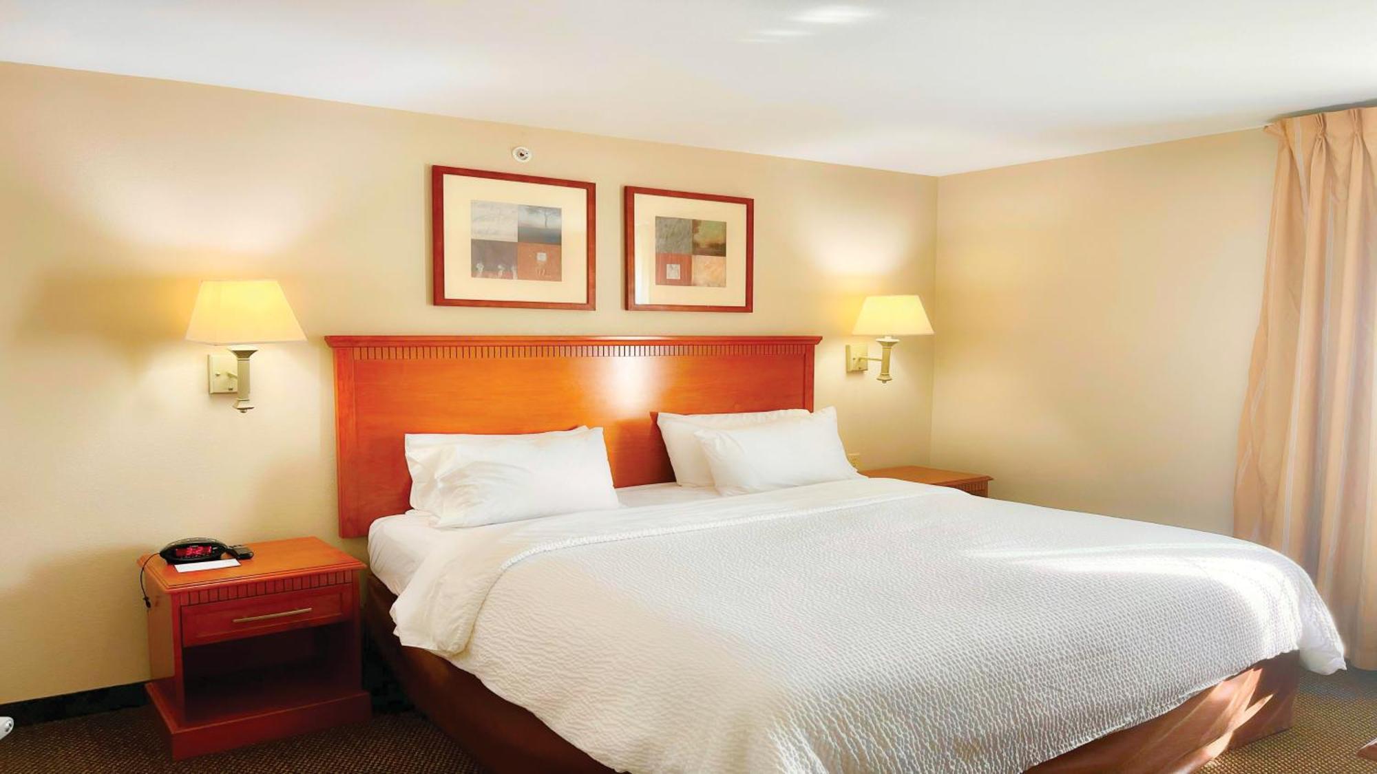 One-Bedroom King Suite with Mobility Accessible Roll-In Shower
