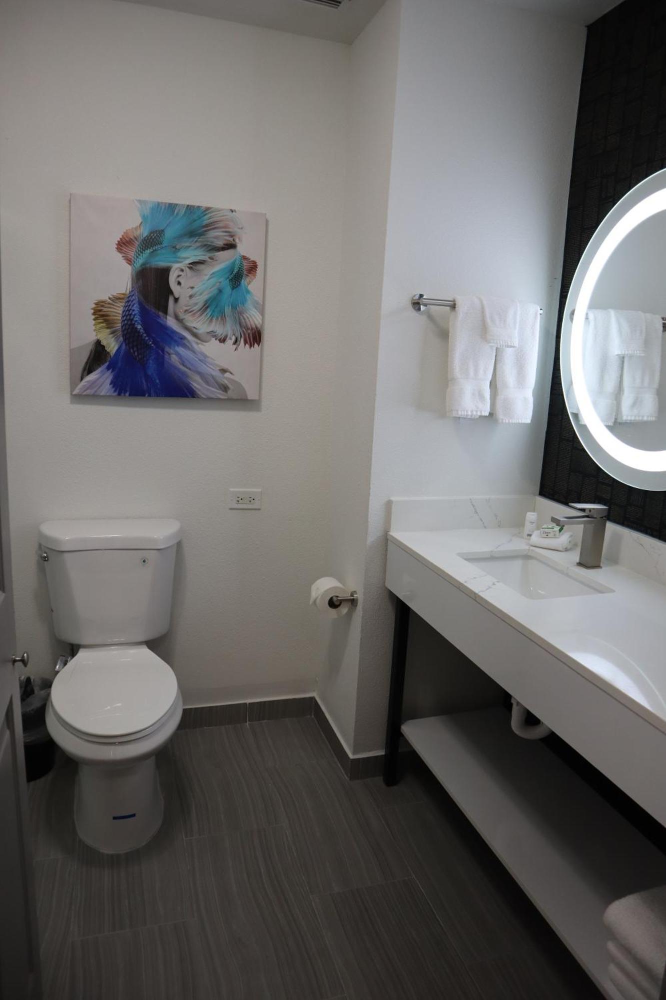 King Room with Roll-In Shower - Mobility/Hearing Accessible - Non-Smoking