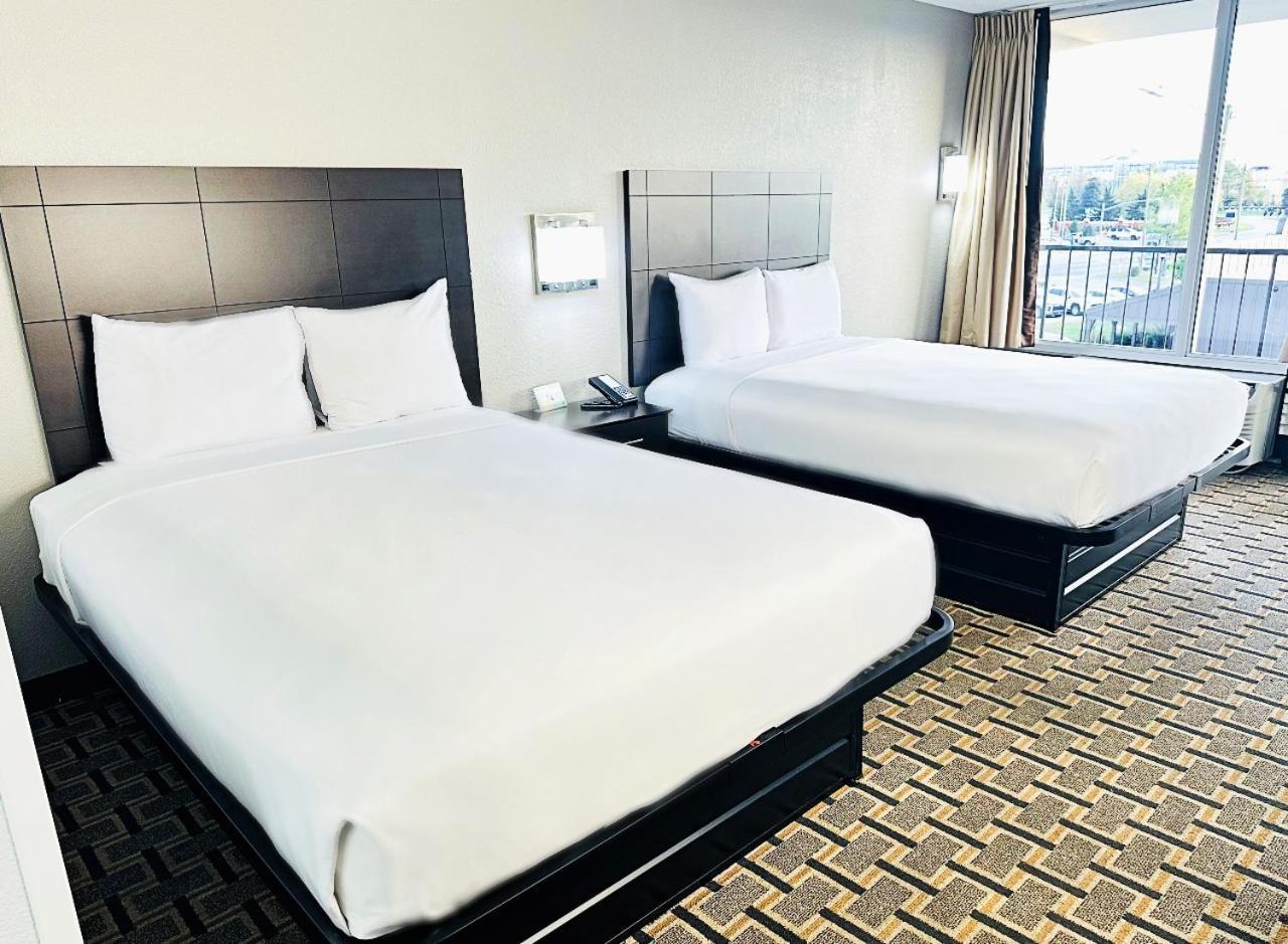 Deluxe Double Room with Two Double Beds - Non-Smoking,1625484938:JPEG