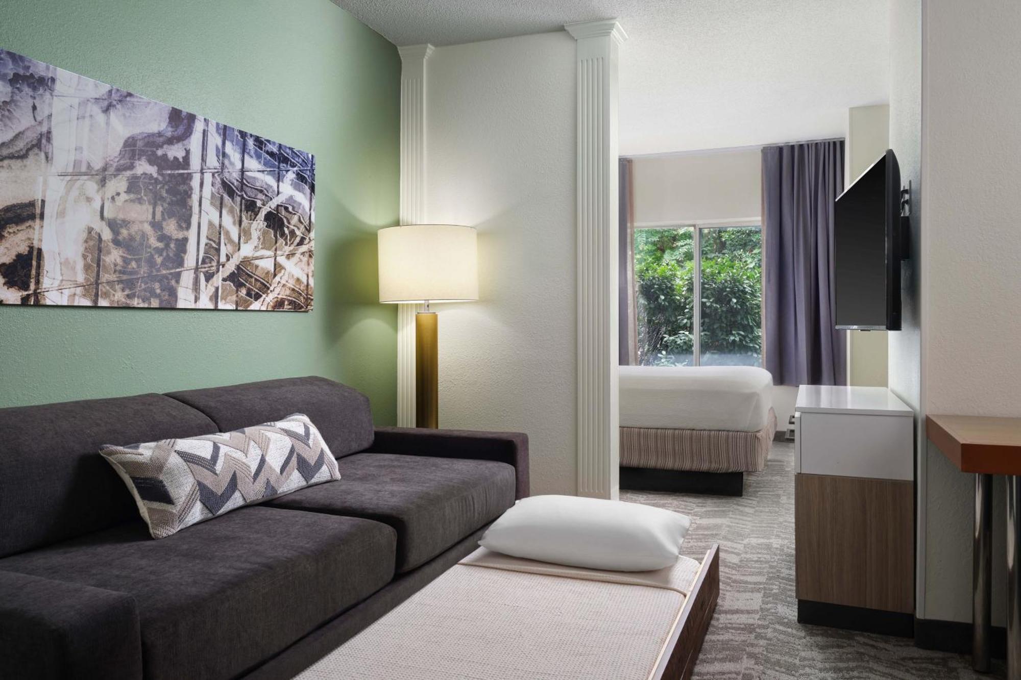 King Suite Bathtub Sofa Bed Mobility Access or Hearing Accessible,1629895291:JPEG