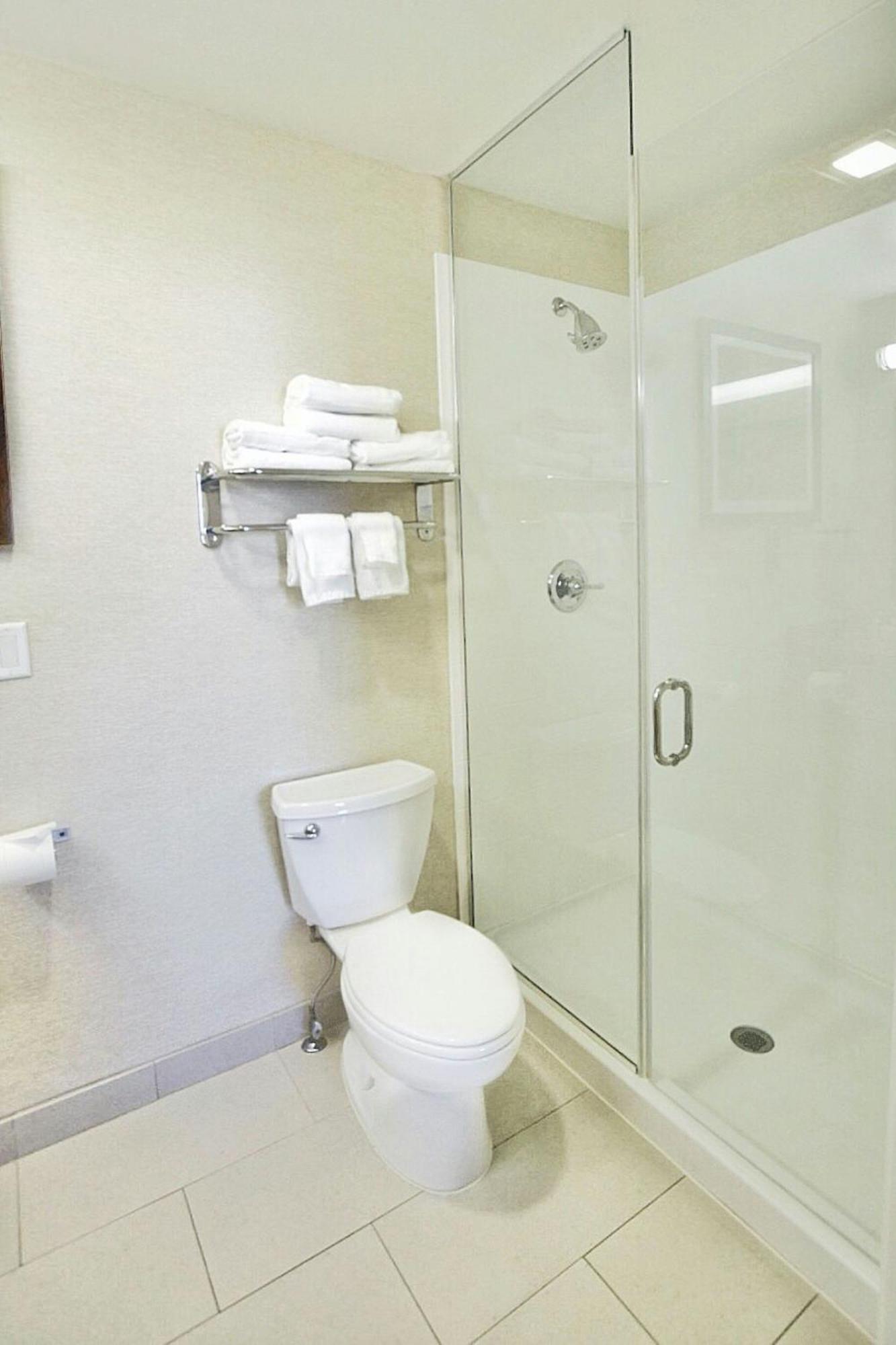 One-Bedroom King Suite with Sofa Bed - Hearing Accessible