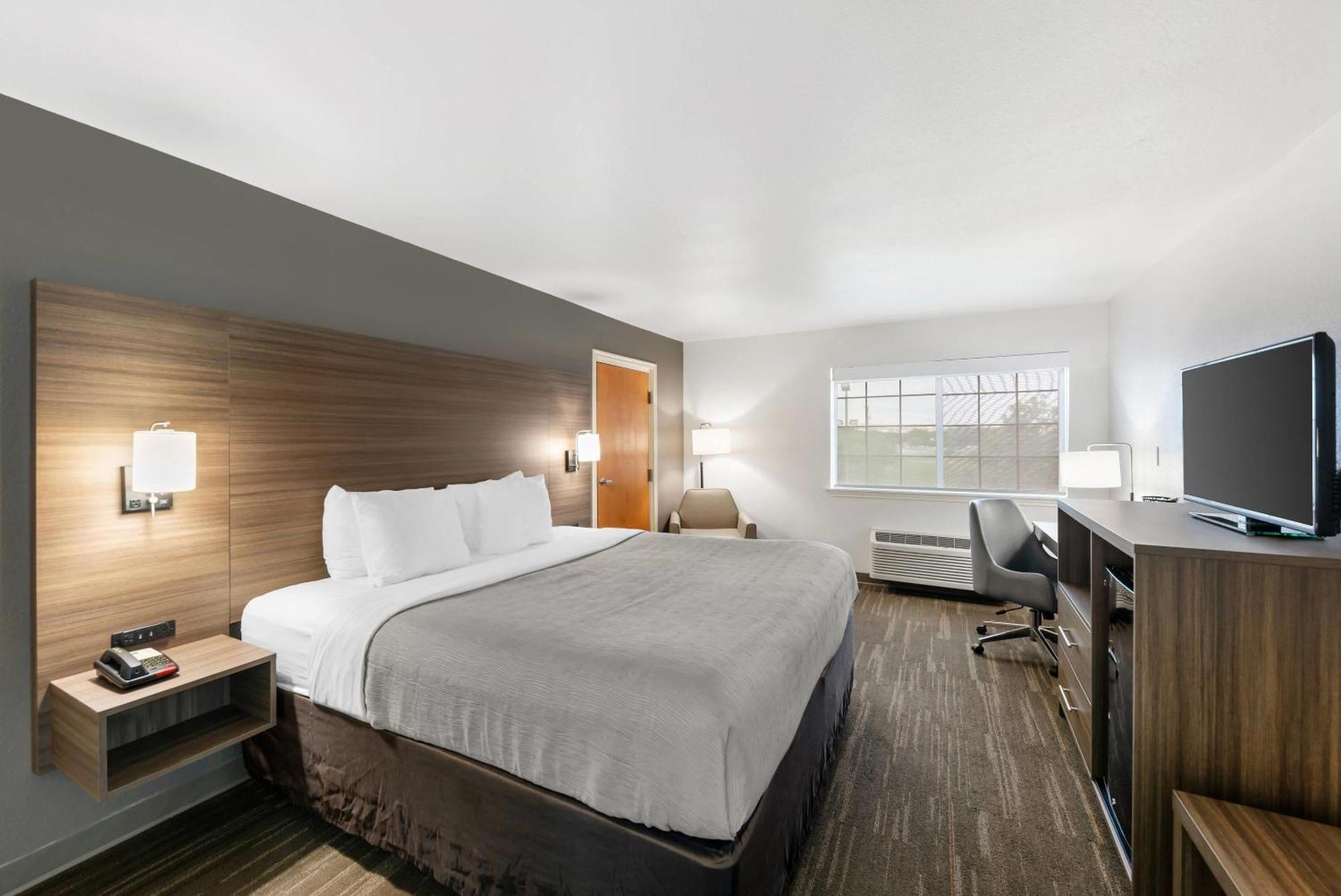 King Room,1669840348:JPEG