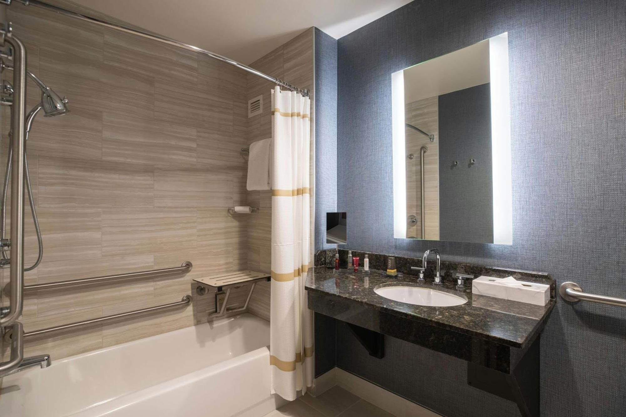 King Room Adapted Tub Mobility Accessible