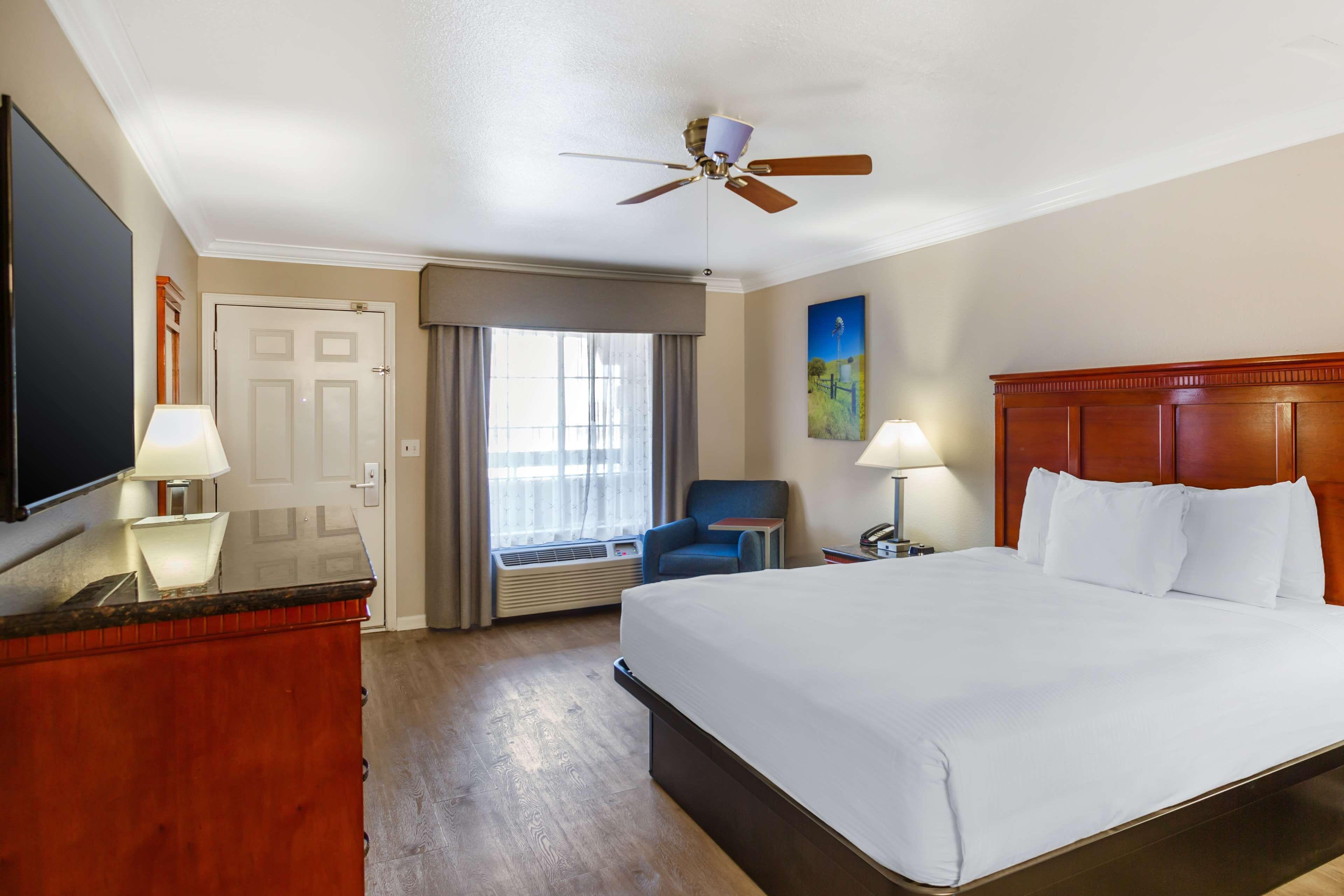 King Room with Roll-In Shower - Disability Access