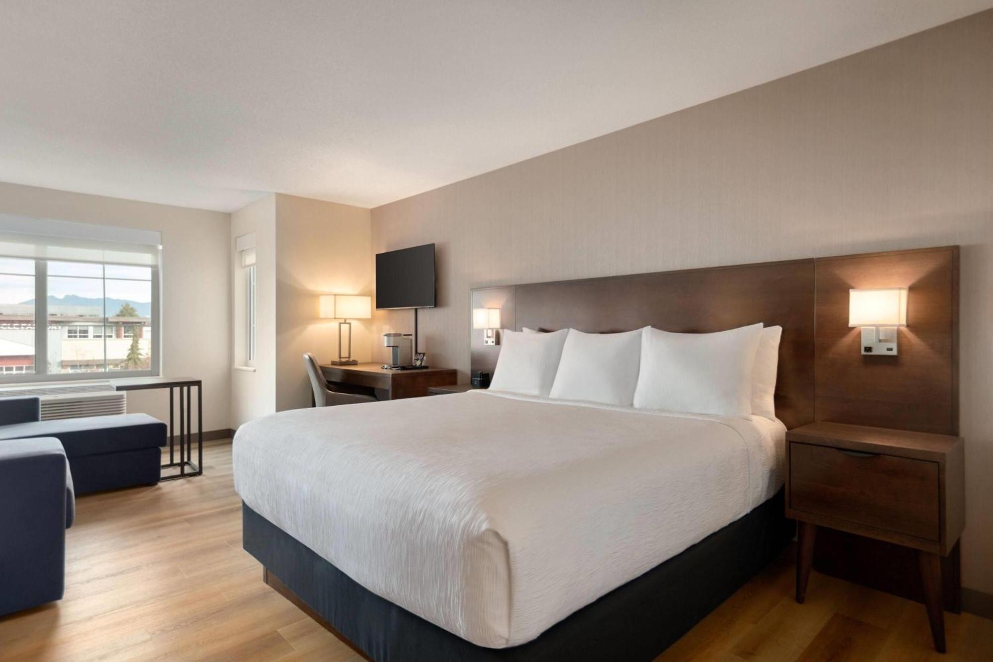 Executive King Room,1742608675:JPEG