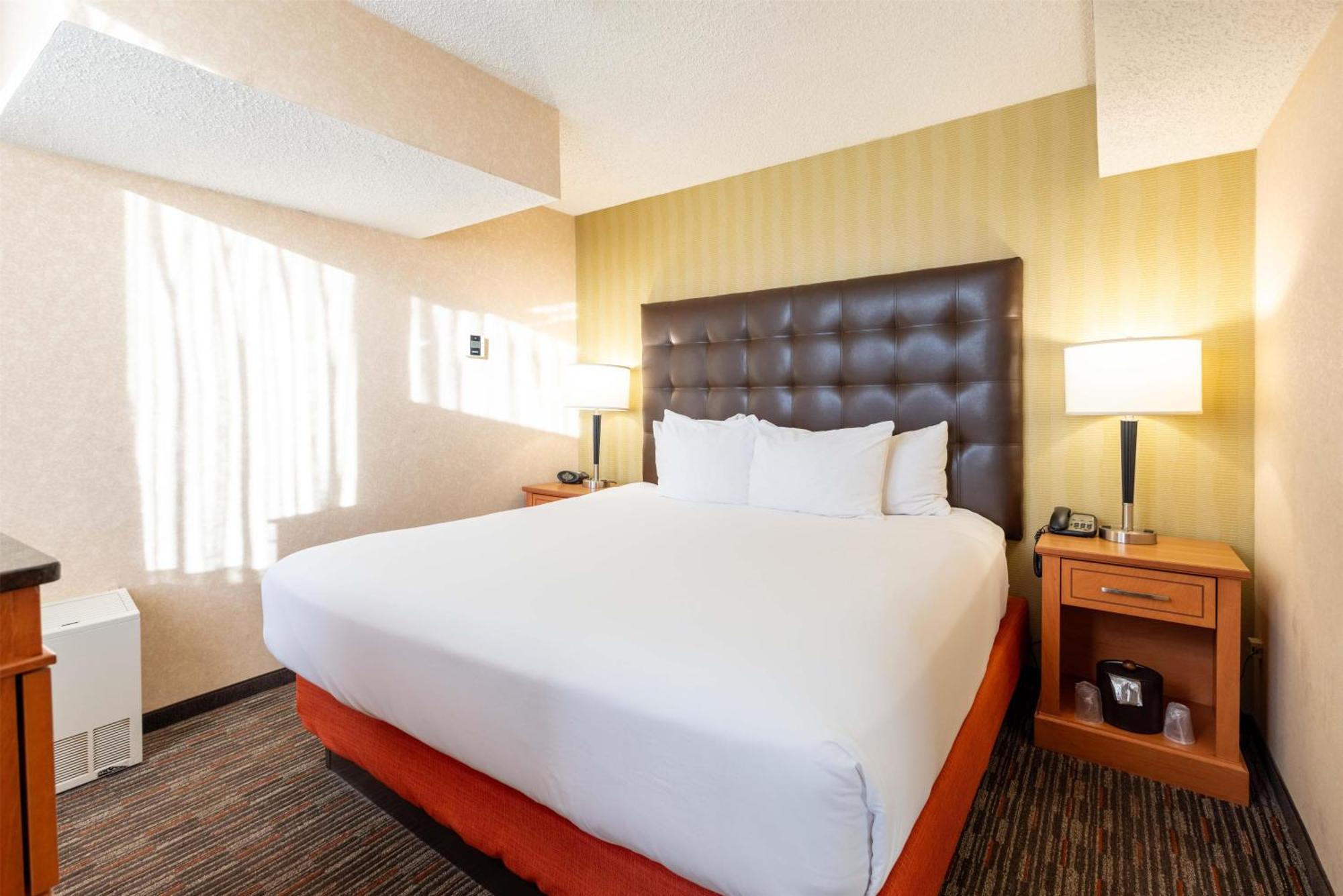 King Suite with Sofa Bed