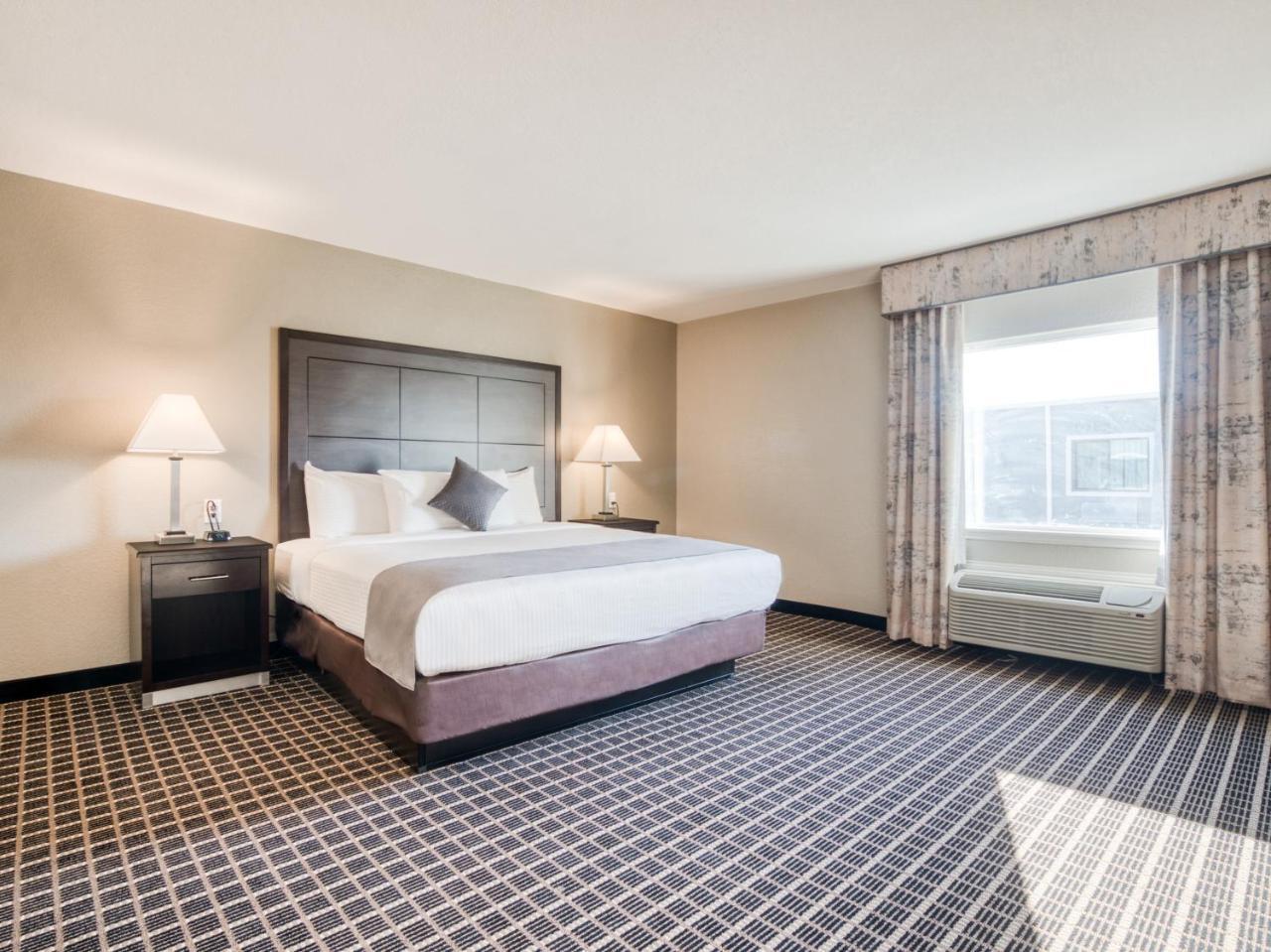 Junior Suite,775655029:JPEG