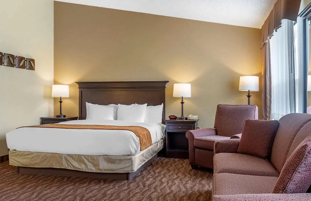 Comfort Inn At Thousand Hills-1