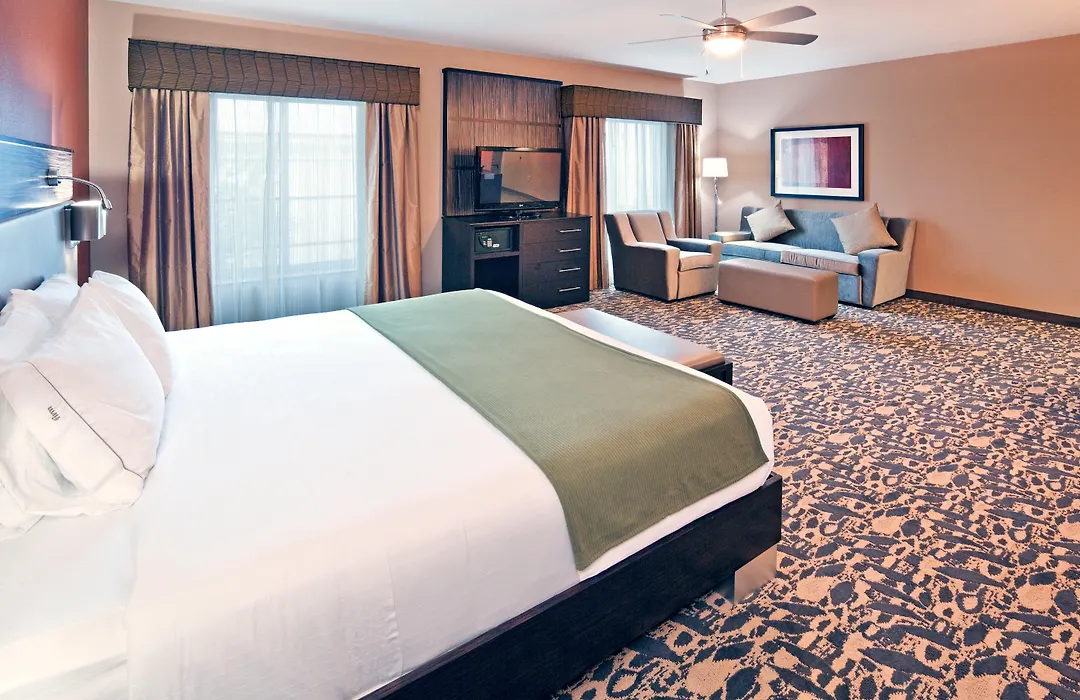Holiday Inn Express & Suites North Dallas At Preston By Ihg-1