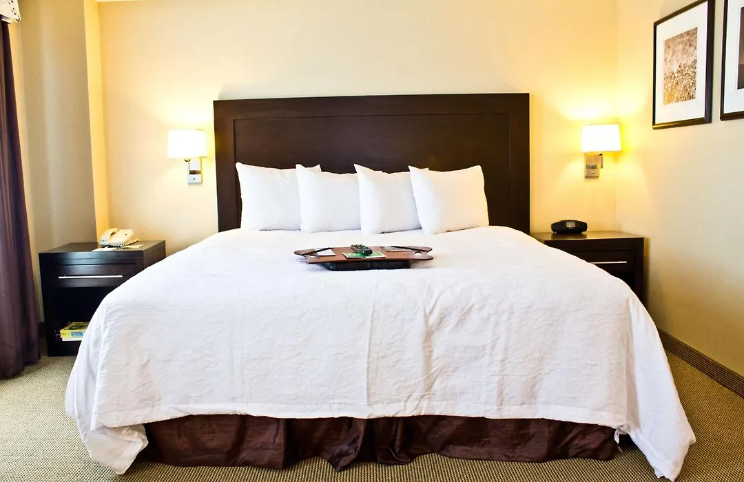 Hampton Inn & Suites Boston Crosstown Center-1