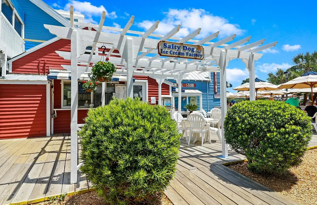30 Ruddy Turnstone | Ruddy Retreat-1