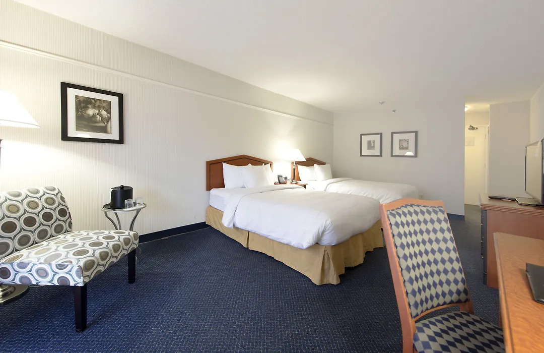 Toronto Don Valley Hotel And Suites-1
