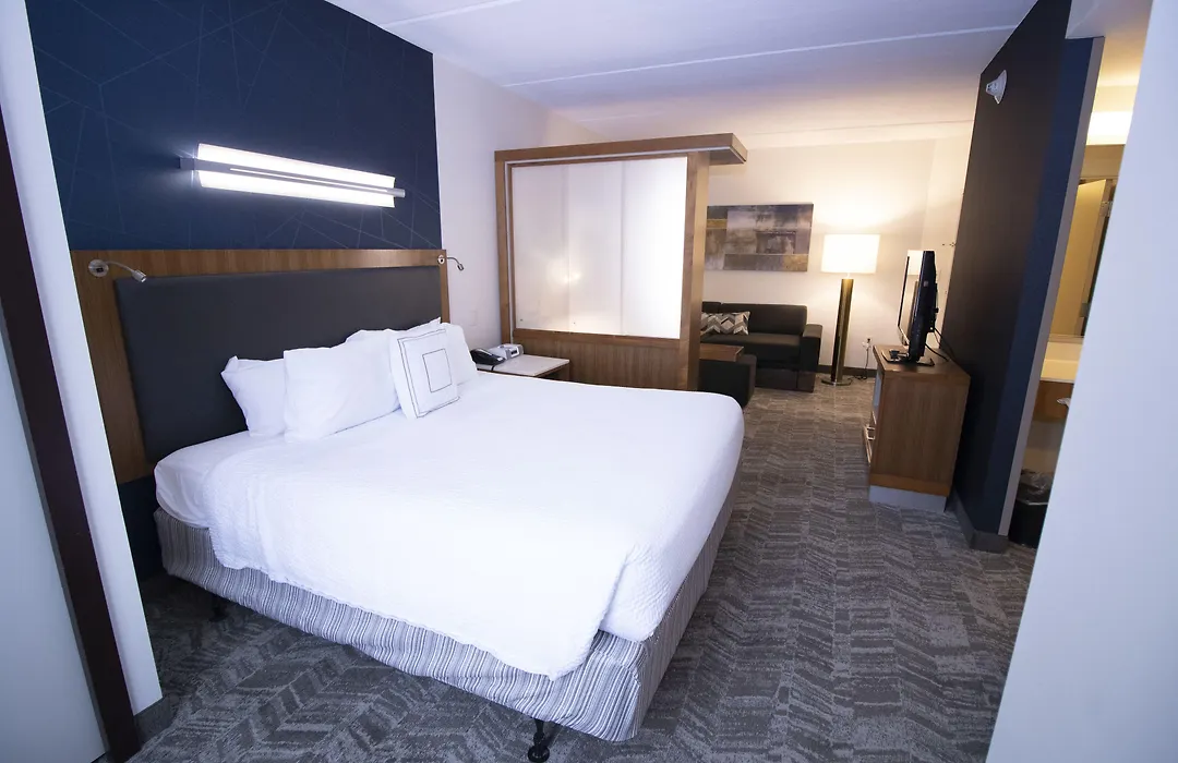 Springhill Suites By Marriott San Antonio Alamo Plaza/Convention Center-1