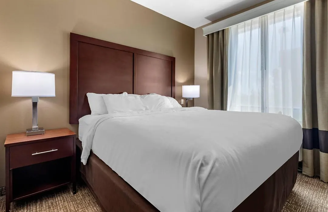Comfort Suites Plano - Dallas North-1