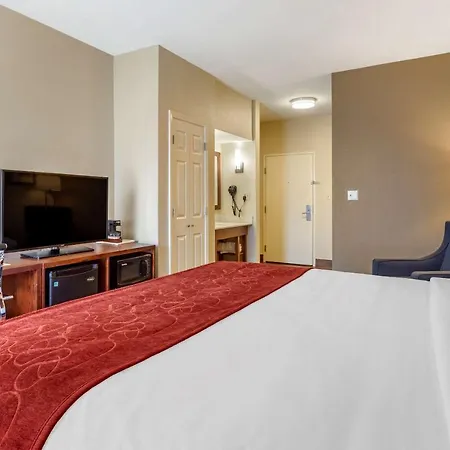 Comfort Suites Cordova-2