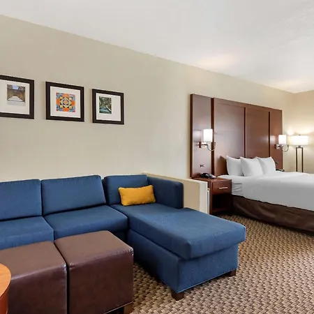 Comfort Inn & Suites Near Six Flags & Medical Center-3