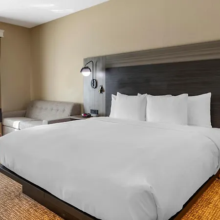 Comfort Inn & Suites North Dallas-Addison-3