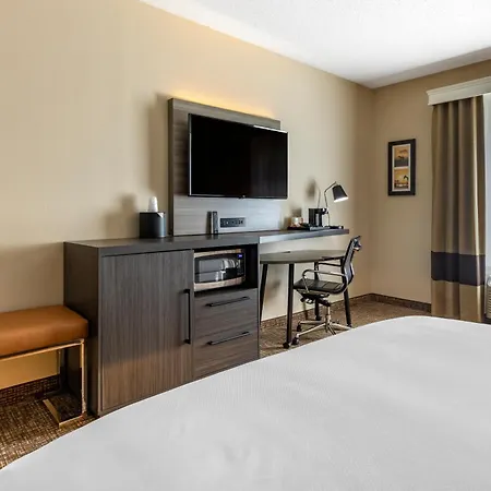 Comfort Inn & Suites North Dallas-Addison-2