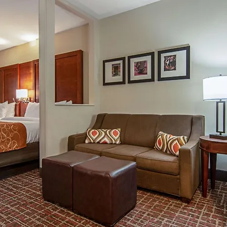 Comfort Suites Nw Dallas Near Love Field-3