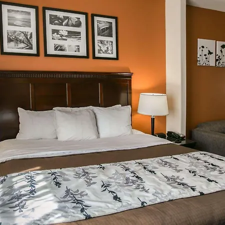 Sleep Inn & Suites Hwy 290-Nw Freeway-2