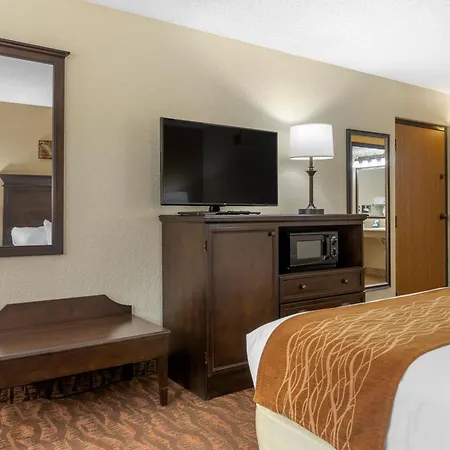 Comfort Inn At Thousand Hills-2