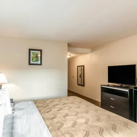 Quality Inn & Suites Near Downtown Bakersfield-3