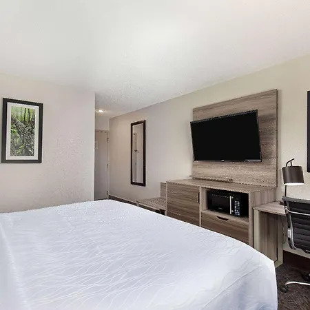 La Quinta Inn By Wyndham Pigeon Forge-Dollywood-2