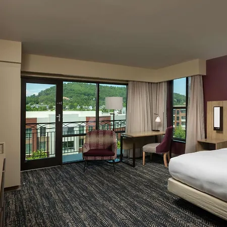 Hilton Asheville Biltmore Park-3