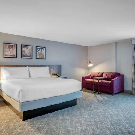 Hilton Garden Inn Boston Logan Airport-3