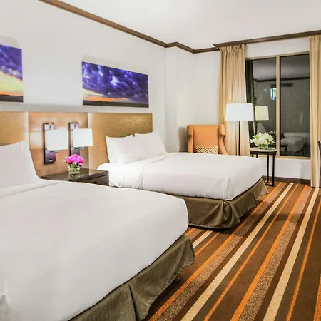 Hilton Dallas-Park Cities-2