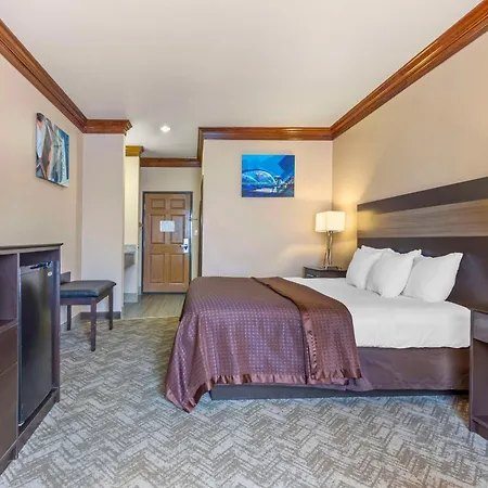 Best Western Fort Worth Inn & Suites-3