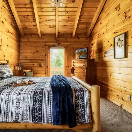 Pet Friendly, Sauna, Jacuzzi Suites, Hot Tub, Dollywood, Game Room, Sleeps 14-2