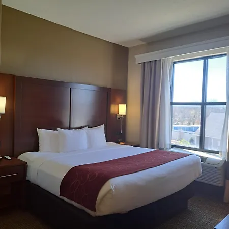 Comfort Suites Nashville Near Percy Priest Lake-3