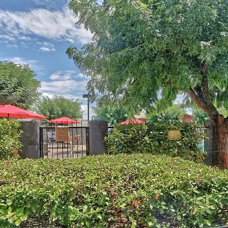 Best Western Plus Rio Grande Inn-2