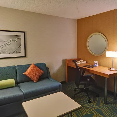 Springhill Suites By Marriott Dallas Nw Highway At Stemmons / I-35East-2