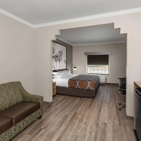 Super 8 By Wyndham San Antonio/Alamodome Area-2