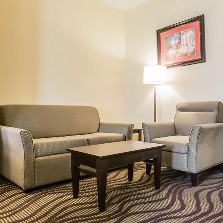Quality Inn & Suites North Montgomery-2